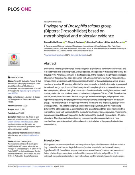 (PDF) Phylogeny of Drosophila saltans group (Diptera: …