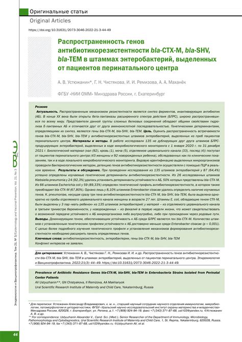 (PDF) Prevalence of bla-CTX-M, bla-SHV, and bla-TEM Genes and ...