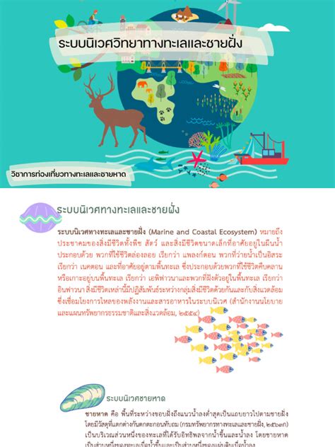 (PDF) Regenerative marine tourism strategy in the ecosystem of ... - raincitystudios.com