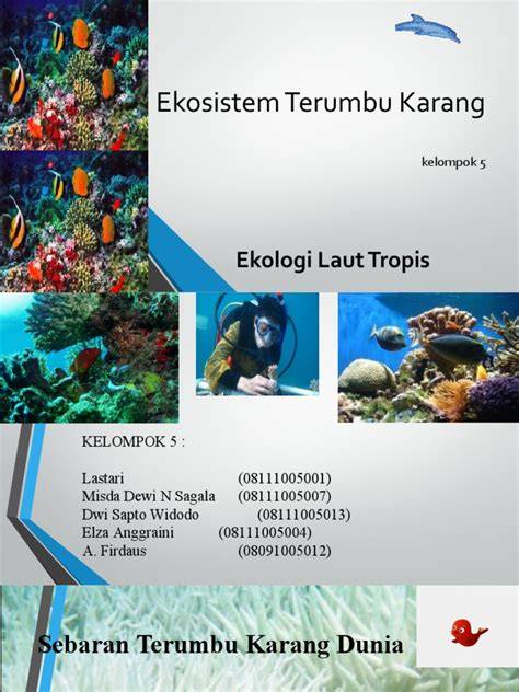 (PDF) Resiliensi Terumbu Karang Dalam Perspektif Ekologi Sebagai ... - raincitystudios.com
