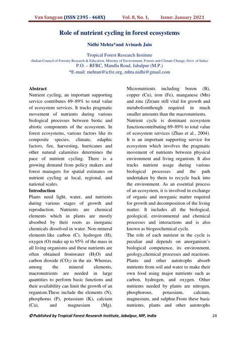 (PDF) Role of nutrient cycling in forest ecosystems - raincitystudios.com