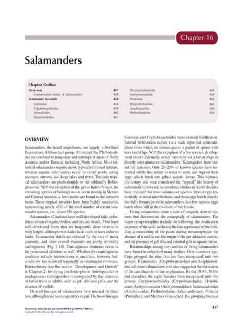 (PDF) Salamanders - ResearchGate - muktibox.com