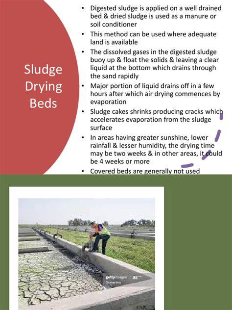 (PDF) Scientific Sludge Drying Beds Design - raincitystudios.com