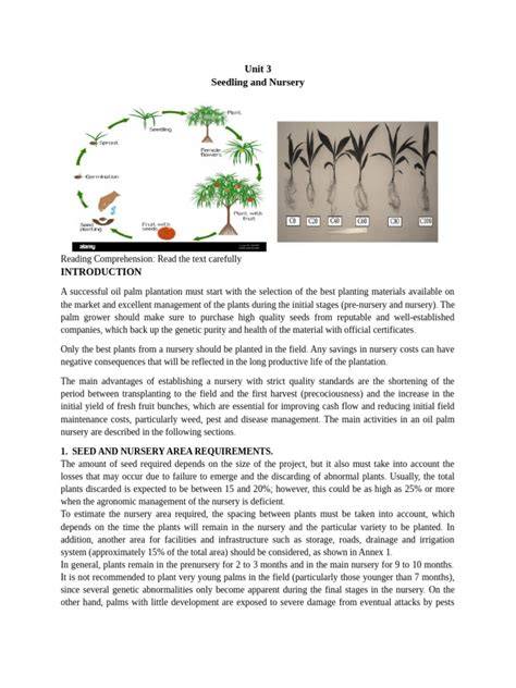 (PDF) Seedling production and Nursery management - raincitystudios.com