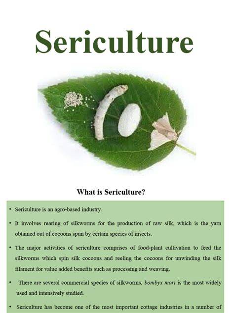 (PDF) Sericulture: Research and Development - raincitystudios.com