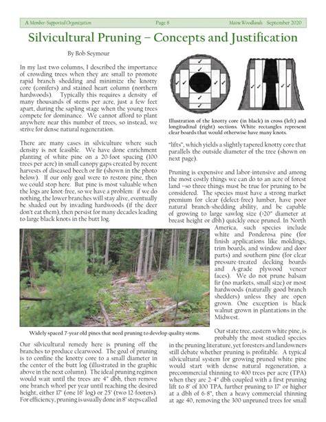 (PDF) Silvicultural Pruning: Concepts and Justification - raincitystudios.com