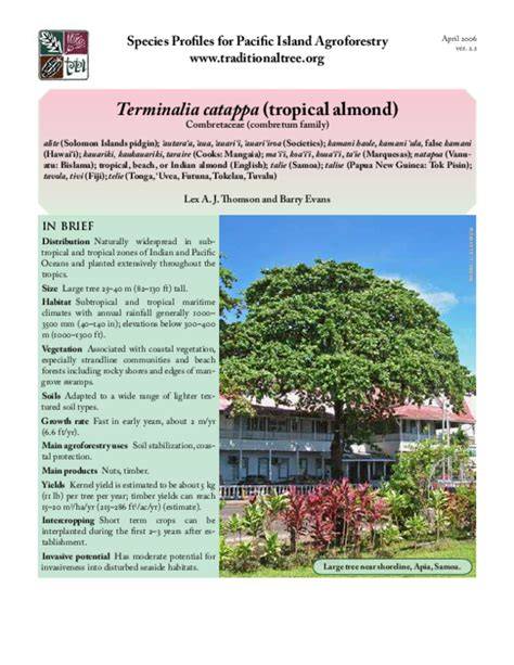 (PDF) Species Profiles for Pacific Island Agroforestry - raincitystudios.com