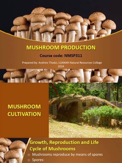 (PDF) Substrates for Mushroom Production - raincitystudios.com