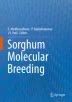 (PDF) Sorghum: Origin, Classification, Biology and Improvement