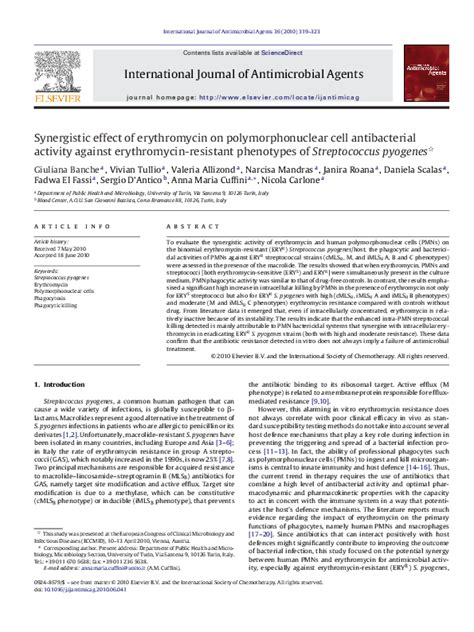 (PDF) Synergistic effect of erythromycin on polymorphonuclear cell