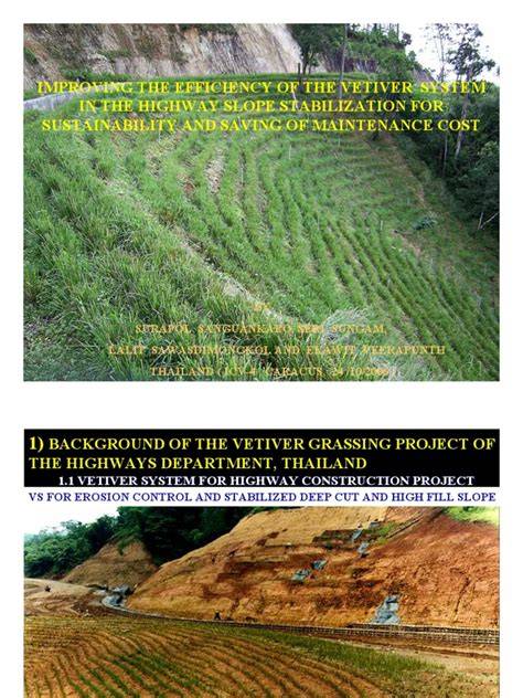 (PDF) The Efficiency Of Vetiver Grass For Slope Stabilization And ... - raincitystudios.com