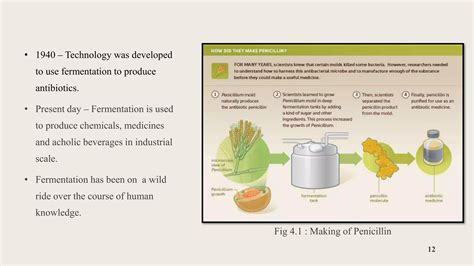 (PDF) The Evolution of Fermentation: From Ancient - wintechmobiles.com