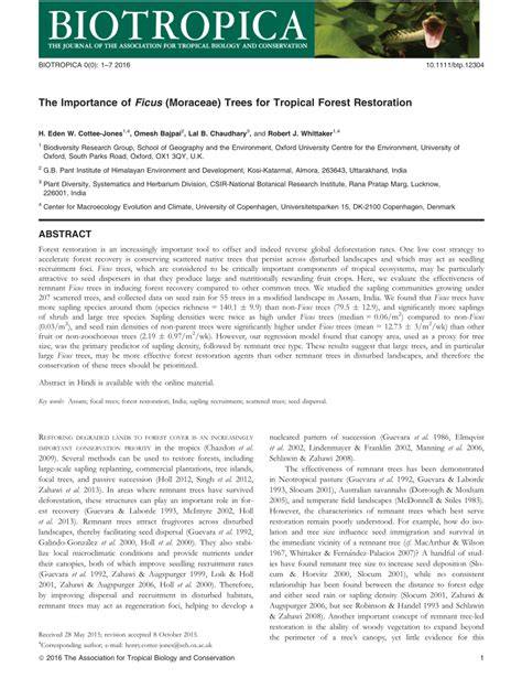 (PDF) The Importance of Ficus (Moraceae) Trees for - raincitystudios.com