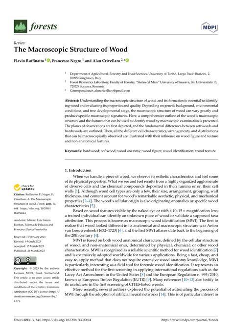 (PDF) The Macroscopic Structure of Wood - raincitystudios.com