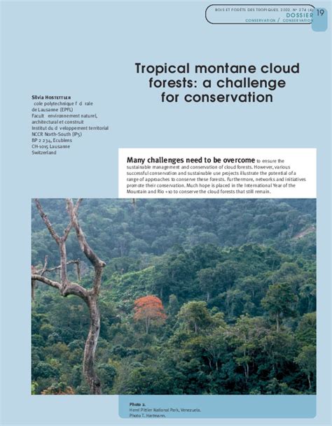 (PDF) Tropical Montane Cloud Forests - ResearchGate - raincitystudios.com