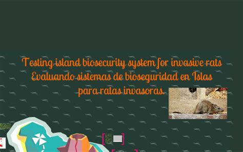 (PDF) Testing island biosecurity systems for invasive rats