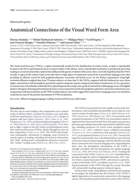 (PDF) The Visual Word Form Area