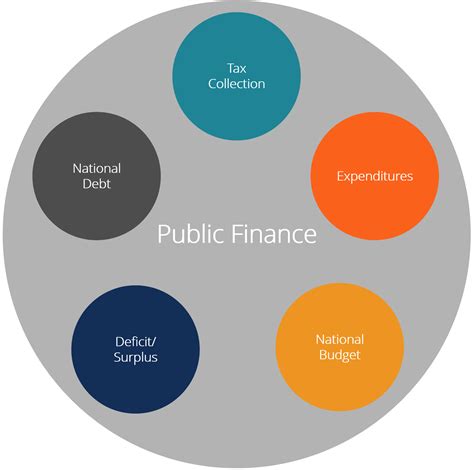 (PDF) The public finance and budget - ResearchGate