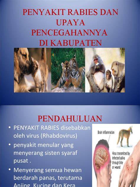 (PDF) UPAYA PENCEGAHAN DAN … - raincitystudios.com