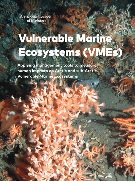 (PDF) Valuing Marine Ecosystems - Taking into … - raincitystudios.com