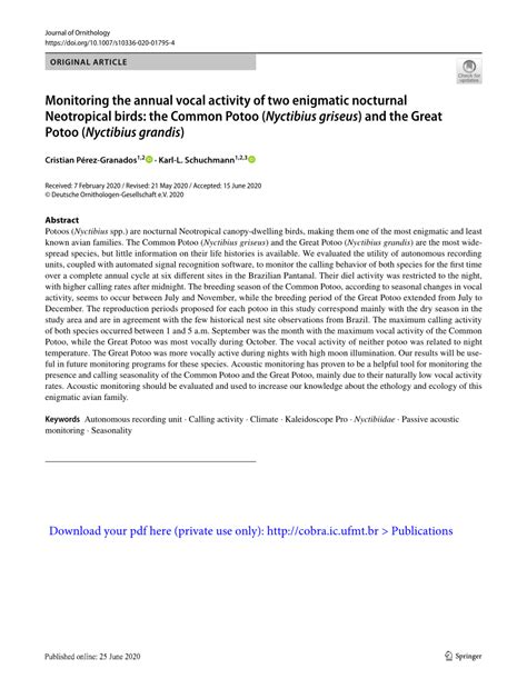 (PDF) VOCAL ACTIVITY OF THE GREAT POTOO (NYCTIBIUS