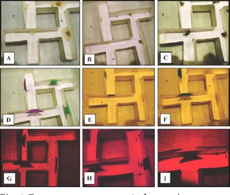 (PDF) Visual and olfactory disruption of orientation by the western ...