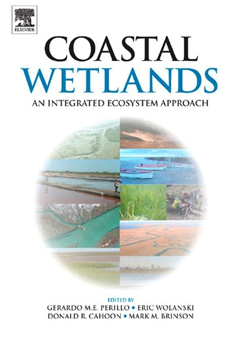 (PDF) WETLANDS; A REVIEW OF THEIR … - raincitystudios.com