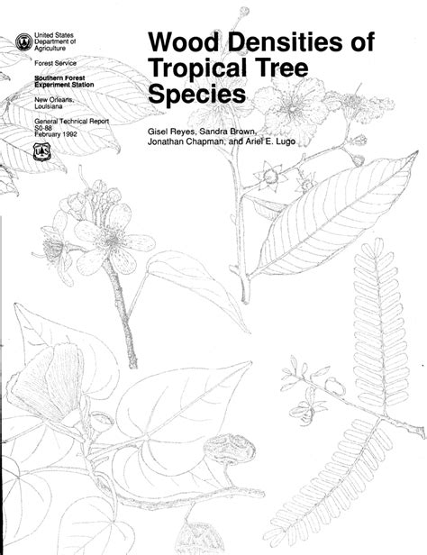 (PDF) Wood Densities of Tropical Tree Species - raincitystudios.com