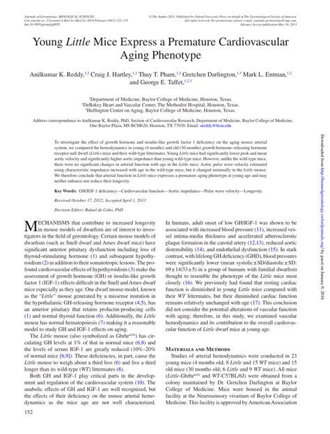 (PDF) Young Little Mice Express a Premature Cardiovascular Aging ...