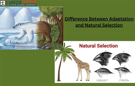 ***Adaptations and Natural Selection - Deranger ISN