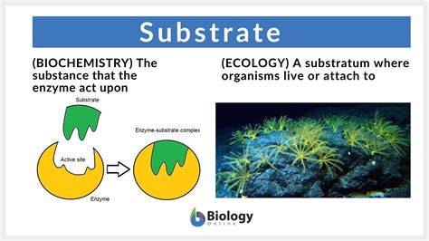 / Substrate - Vintage Story Mod DB - raincitystudios.com