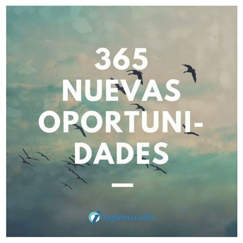 365 oportunidades