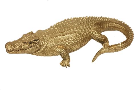 alligator gold
