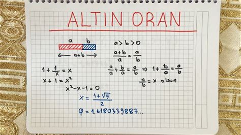 altın oran dikdörtgen