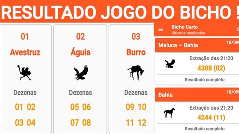 aplicativo de jogo do bicho