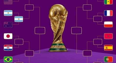 apostas esportiva da copa do mundo 2023