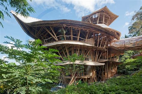 bamboo casa