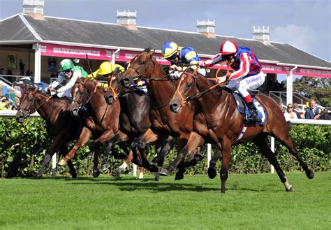 best horse races to bet on