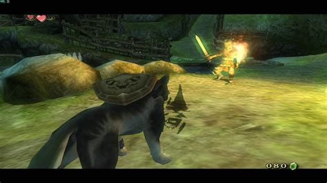 best settings for twilight princess dolphin