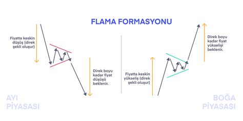 bitki formasyonu nedir