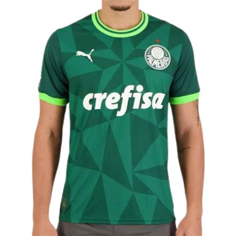 blusa do palmeiras masculina