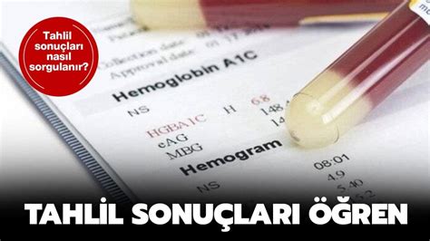 boyabat tahlil sonuçları