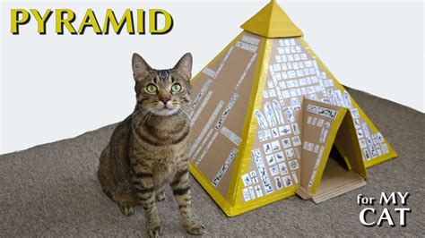 cat pyramid