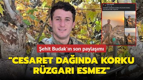 cesaret dağında korku rüzgarı esmez