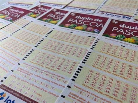 como fazer apostas na loteria esportiva