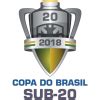 copa do brasil u20 live scores