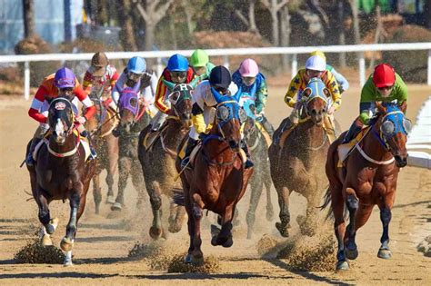 corrida de cavalo