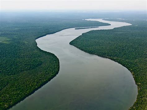 dünyanın en büyük nehri