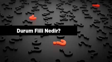 durum fiili nedir