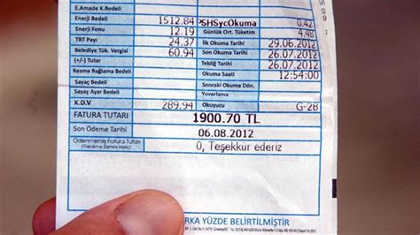 elektrik faturası ödeme uludağ